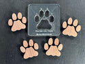 Mountain Lion Track Expansion Packs