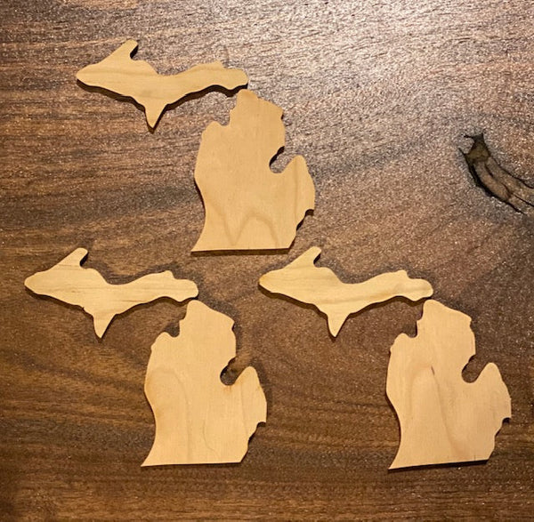 How to Install a Michigan State Inlay