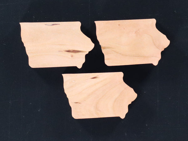 Iowa Inlays