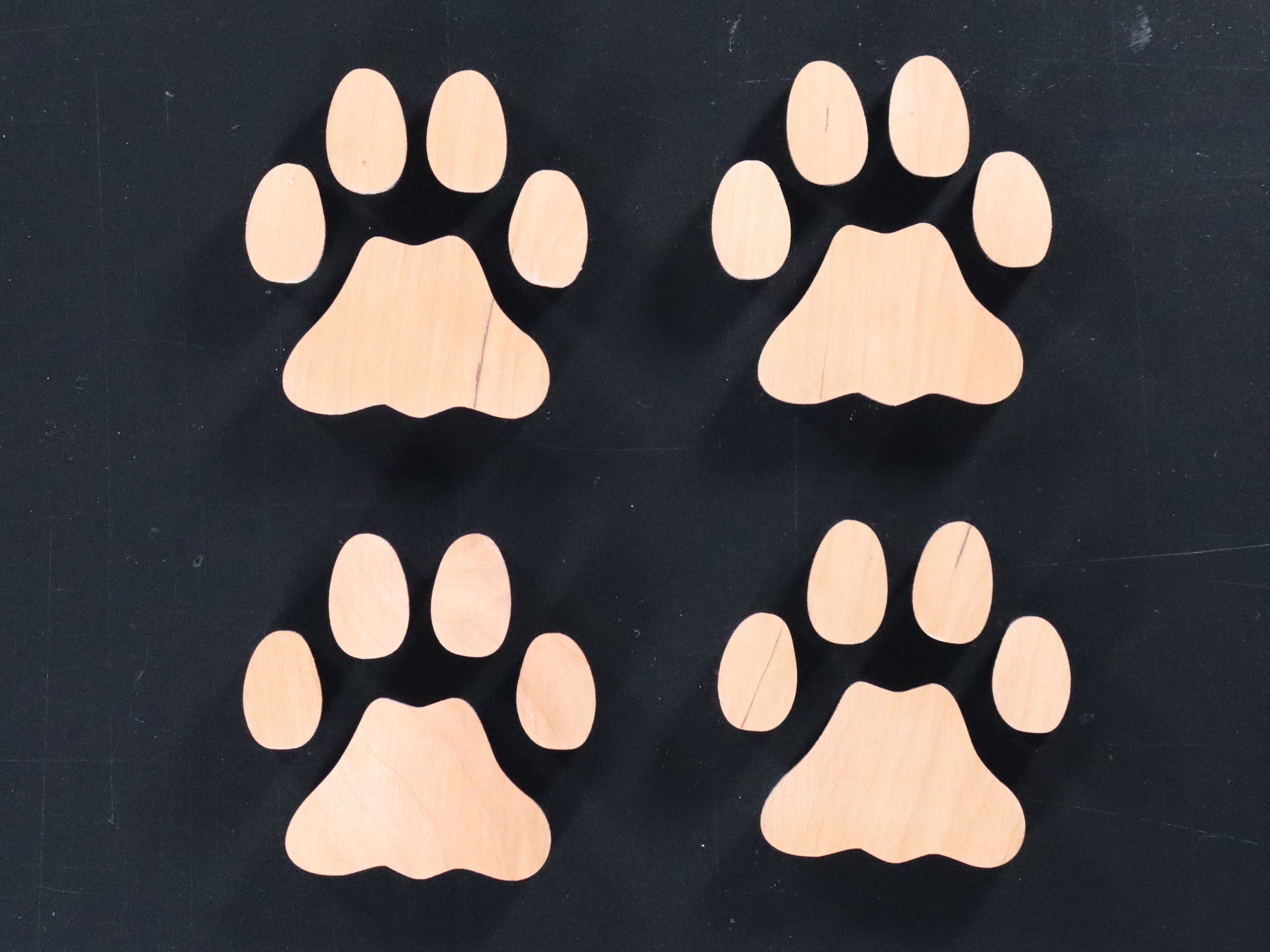 Mountain Lion Track 1/4
