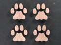 Mountain Lion Track Inlays