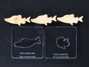 Salmon Expansion Packs