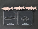 Trout Expansion Packs