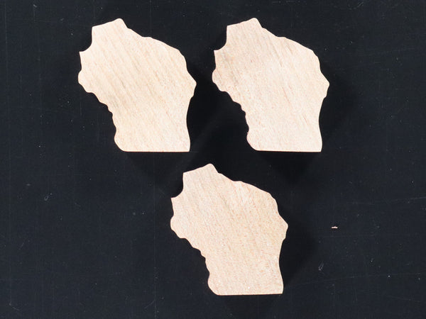 Wisconsin Inlays