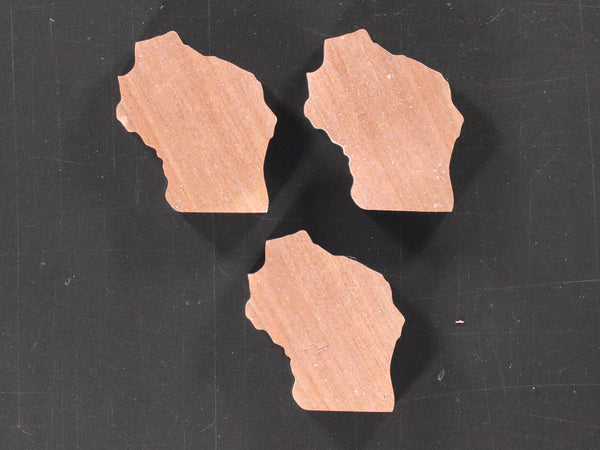 Wisconsin Inlays